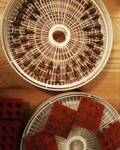Degree of Exaltation Mars Incense